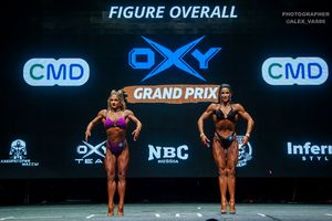 FIGURE OVERALL